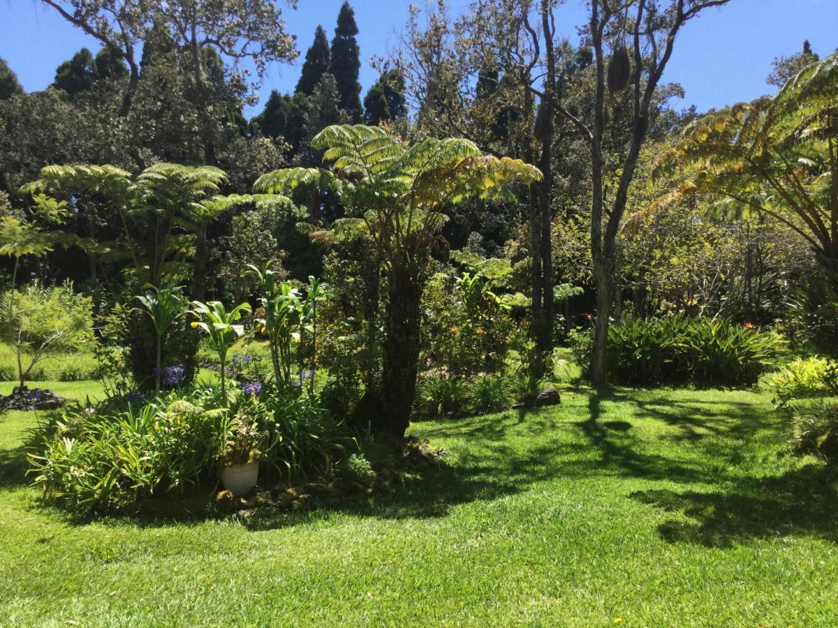 Hale 'Ohu Bed & Breakfast Volcano Buitenkant foto