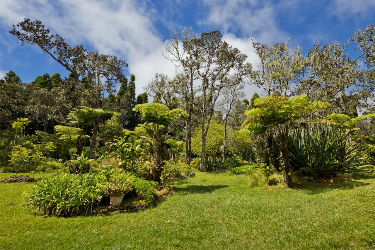 Hale 'Ohu Bed & Breakfast Volcano Buitenkant foto