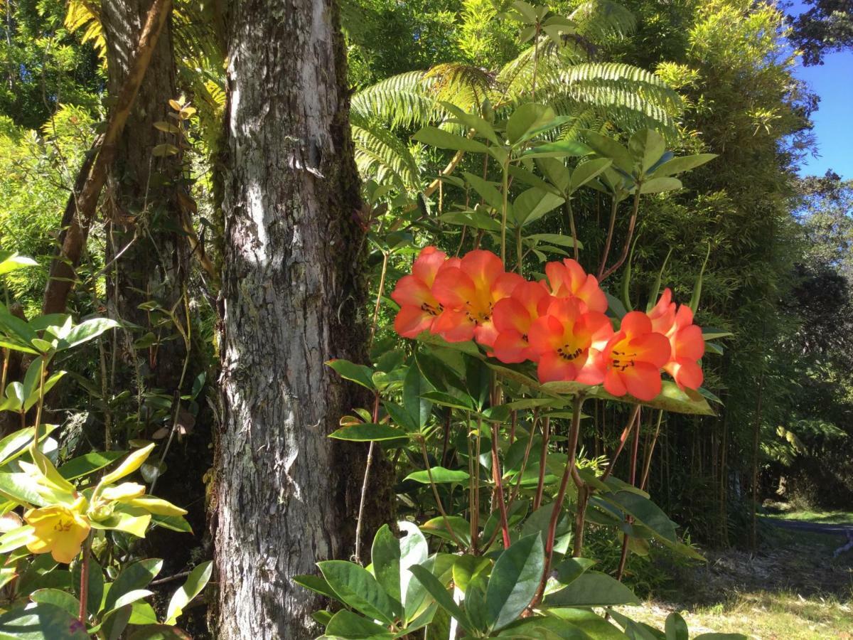Hale 'Ohu Bed & Breakfast Volcano Buitenkant foto