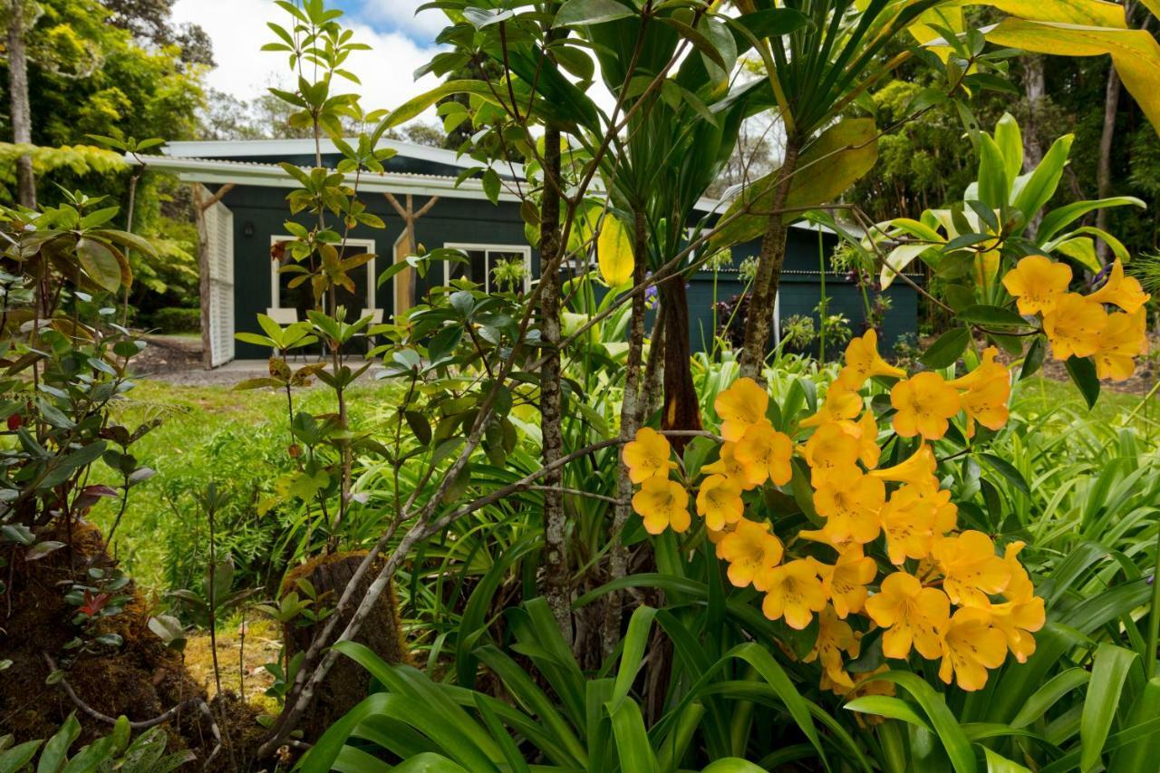 Hale 'Ohu Bed & Breakfast Volcano Buitenkant foto
